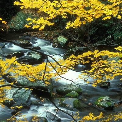 江南app手机app下载