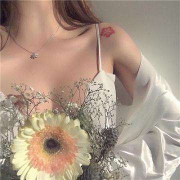 快三彩票app平台官方下载